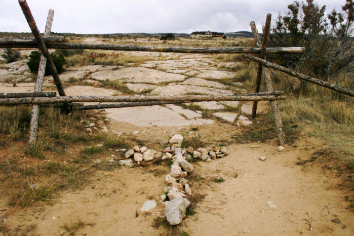 Matthew Shepard